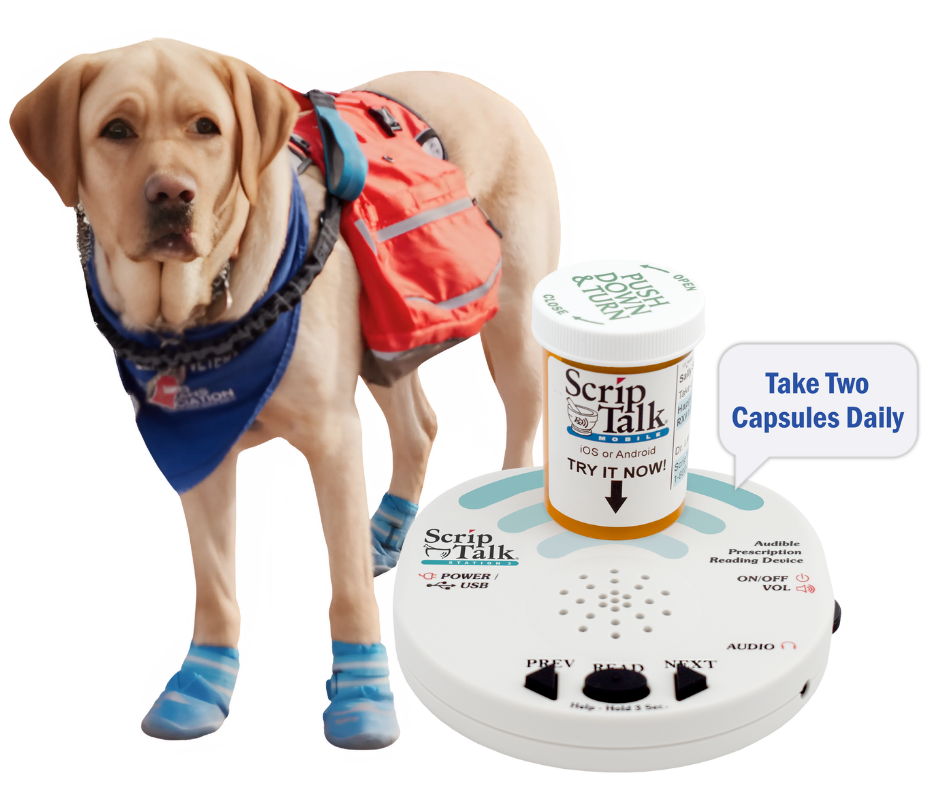 Ambassadog Kent Shares Helpful Tip for Reading Prescription Labels ...